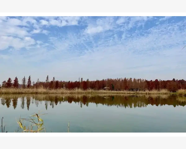 气血不足？中药补气血！——寻找中医修复身体能量的方法